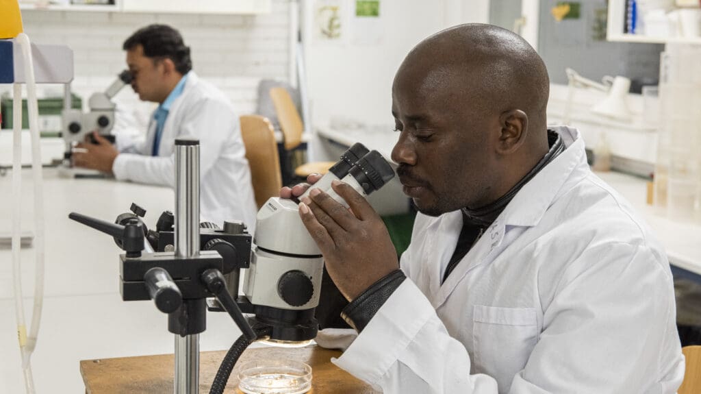 Researchers working in lab