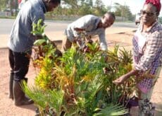 Veronica Mwaba selling flowers for communicating science with a passion